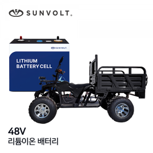 [전동카트] 48v 리튬이온 배터리